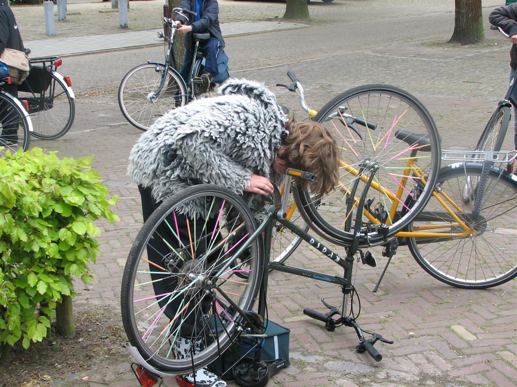 IMG_9830 (Large).jpg